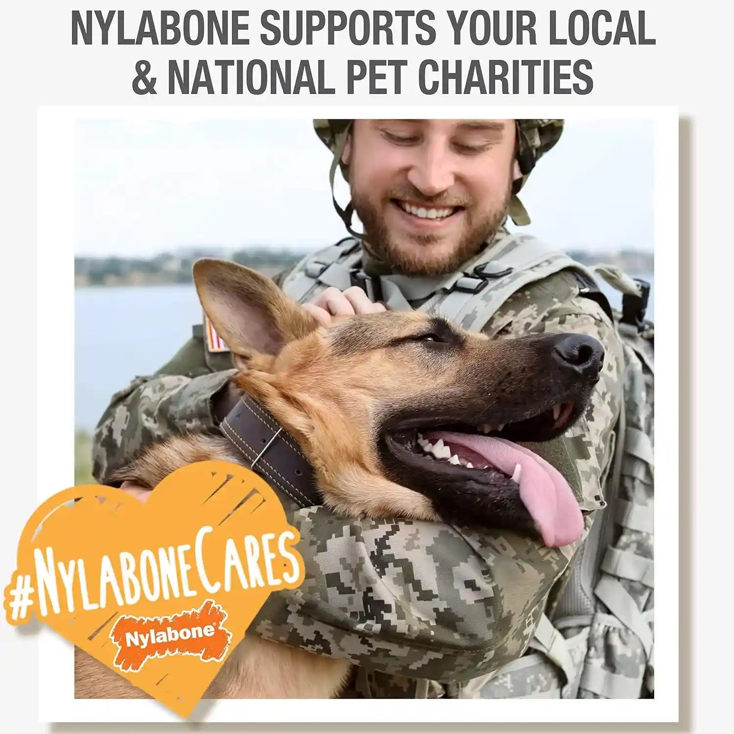 nylabone-nubz-wild-natural-dog-treats-bison-flavor-small-12-count-long-lasting-dog-chews-made-in-usa-limited-ingredients-highly-digestible-dog-dental-treats-for-small-dogs-up-to-30-lbs
