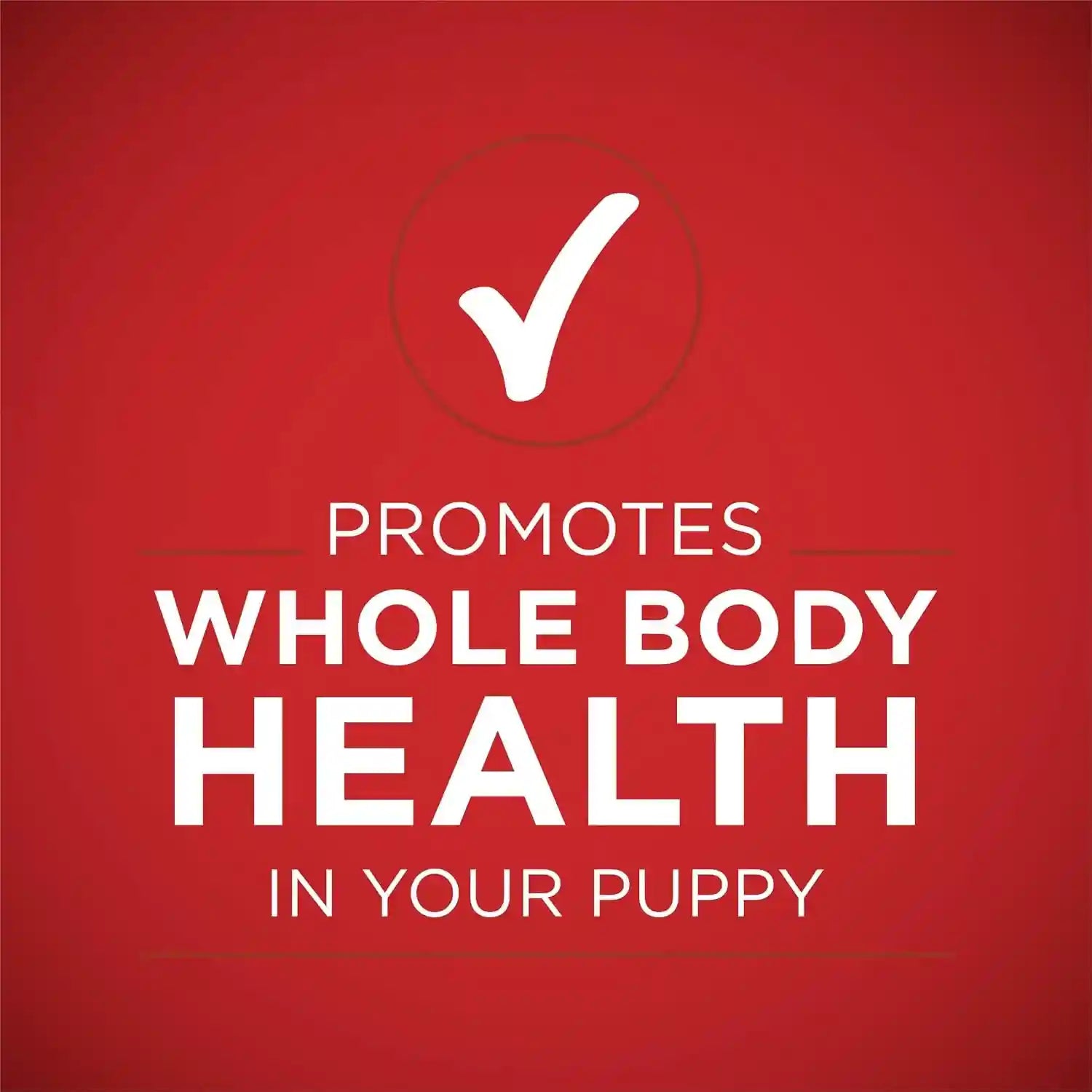 purina-one-plus-wet-puppy-food-classic-ground-healthy-puppy-lamb-and-long-grain-rice-entree-pack-of-12-13-oz-cans