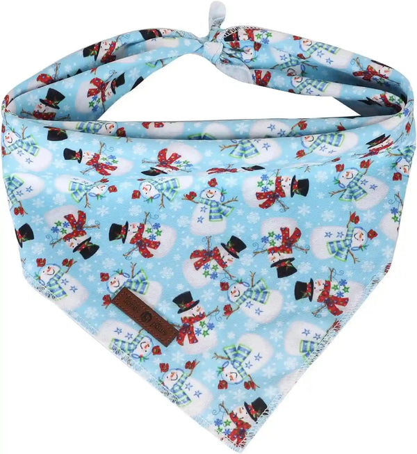 Lionet Paws Dog Bandana for Small Medium Large Dogs, Cat Kerchief Blue DOIT, Triangle Bibs Scarf for Girl or Boy26