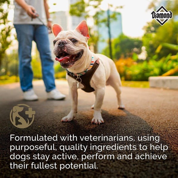 Diamond Maintenance Adult Dry Dog Food, Chicken Protein, 40Lb | for Moderately Active Dogs | Omega Fatty Acids Help Support Healthy Skin & Shiny Coat | Guaranteed Probiotics5