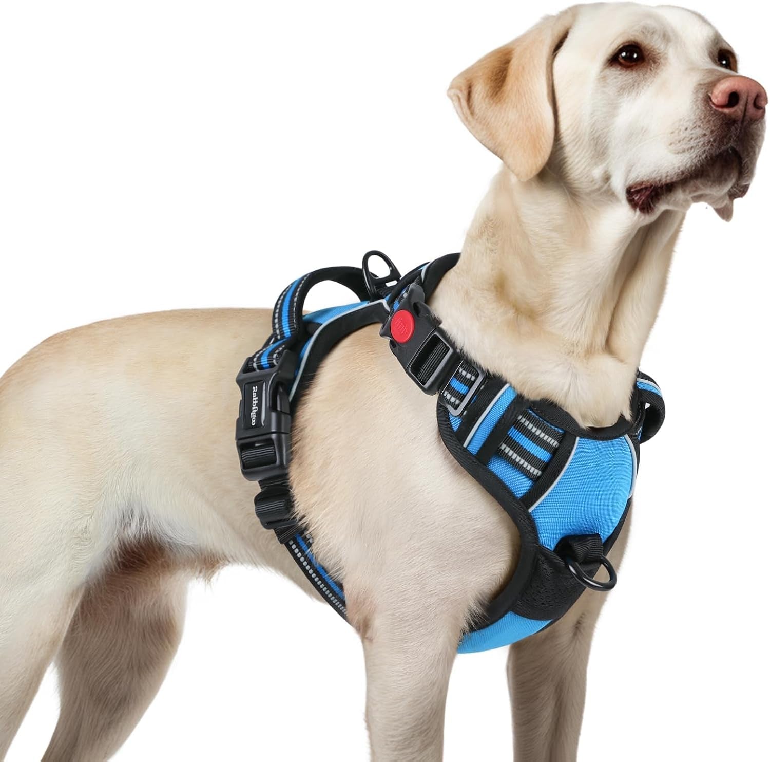 rabbitgoo-dog-harness-medium-sized-updated-easy-on-off-with-3-buckles-no-pull-no-choke-walking-with-2-clips-and-handle-adjustable-soft-reflective-blue-medium