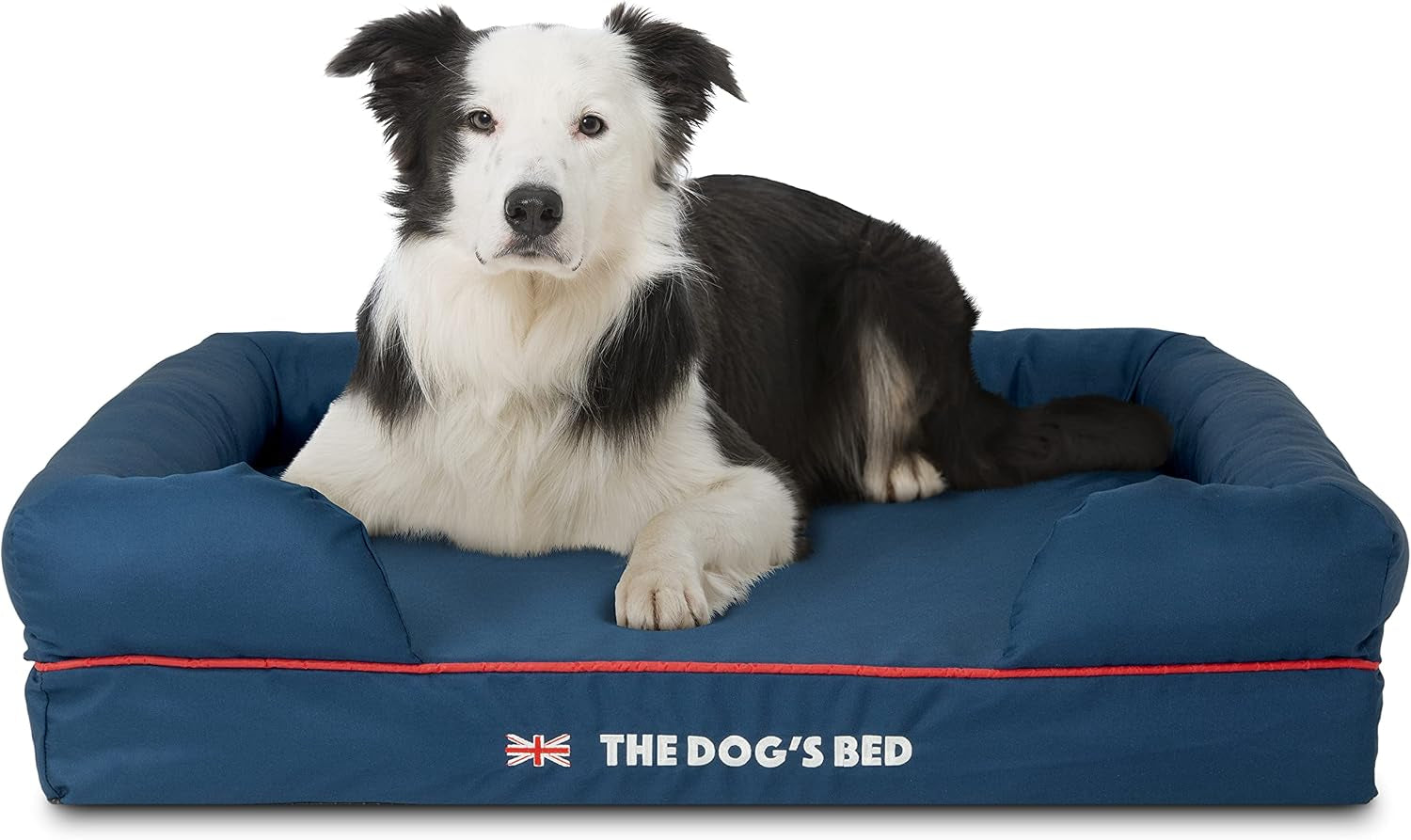 the-dog-s-bed-orthopedic-memory-foam-dog-bed-with-bolsters-for-large-dogs-high-density-support-mattress-low-front-entry-removable-washable-cover-oxford-fabric-blue-with-dark-red-trim-large