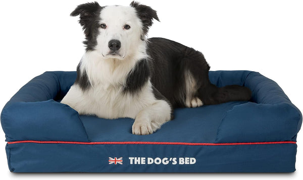 The Dog’S Bed Orthopedic Memory Foam Dog Bed with Bolsters for Large Dogs, High Density Support Mattress, Low Front Entry, Removable Washable Cover, Oxford Fabric, Blue with Dark Red Trim, Large14