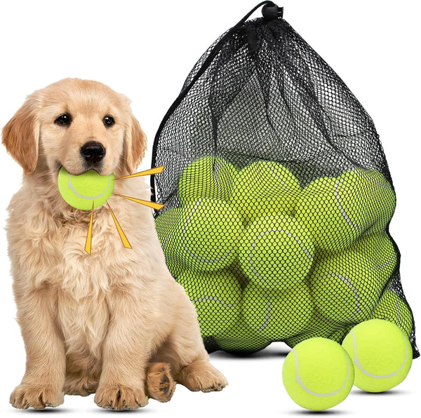 Magicorange Dog Tennis Balls, 20 Pack 2.5 Inch Squeaky Tennis Balls | Floatable Squeaky Dog Balls for All Breed Dogs,Natural Rubber,Colorful Easy Catching Multicolor,With Mesh Bag13