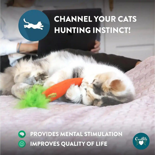 Ourpets 100-Percent North American Catnip Filled Carrot Cat Toy 24 Karat5