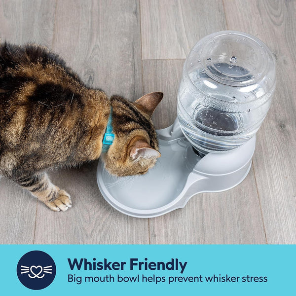 Aspen Pet Lebistro Cat and Dog Water Dispenser, Made in USA7