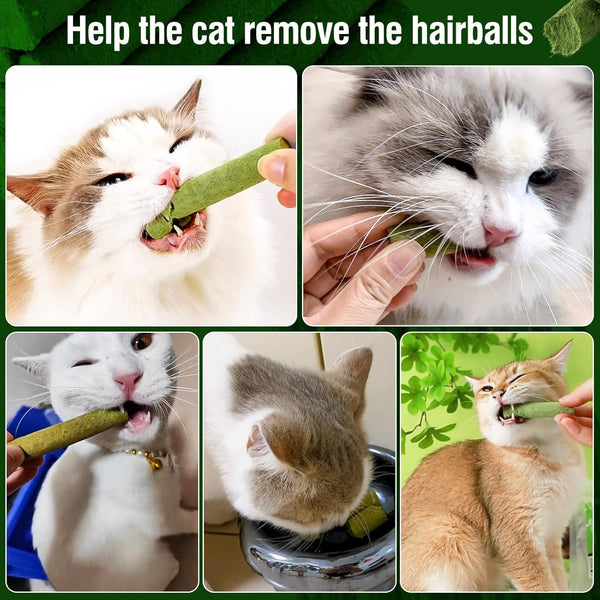 120G/4.23Oz Cat Grass Teething Stick Hairballs,Chew Sticks for Cats,Catnip Toys Sticks Indoor Kitten Chew Stick (Green)7
