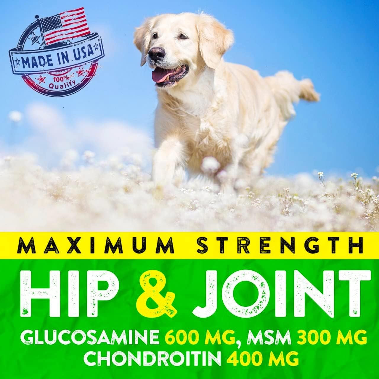 hemp-hip-and-joint-supplement-for-dogs-glucosamine-for-dogs-170-dog-joint-pain-relief-treats-chondroitin-hemp-oil-msm-mobility-flexibility-support-advanced-care-health-made-in-usa
