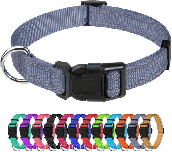Tagme Small Dog Collar, Reflective Puppy Collar, Sky Blue, 3/8" Width | Lightweight, Nylon Collar for Puppies, Chihuahua, Yorkie & Teacup Dogs 5-15 Lbs, Reflective for Evening Walks, 12 Colors16