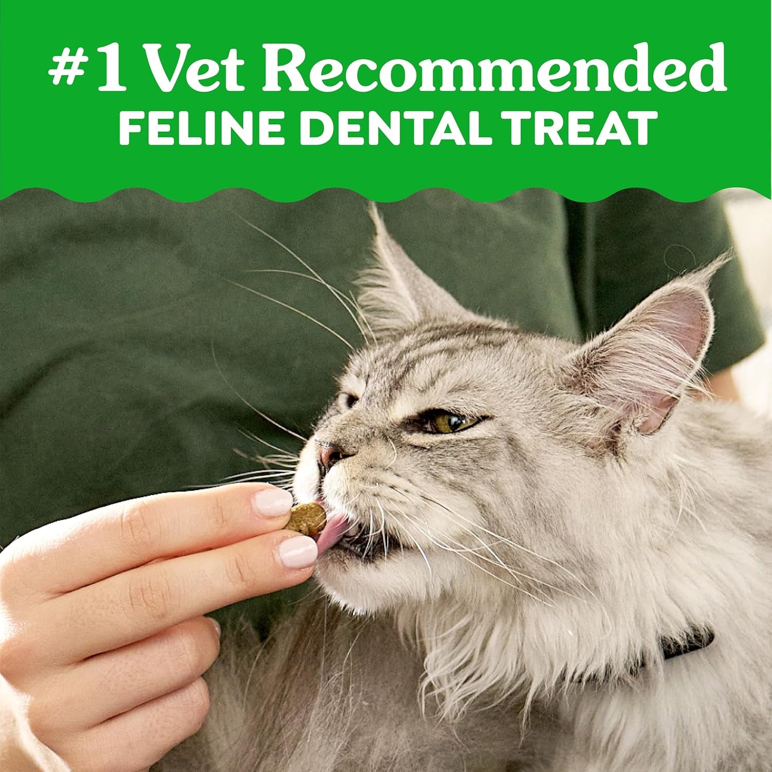 greenies-feline-natural-crunchy-dental-cat-treats-salmon-flavor-21-oz-1-vet-recommended-clinically-proven-oral-care-36-less-tartar-in-28-days-cleans-to-gumline-natural-ingredients