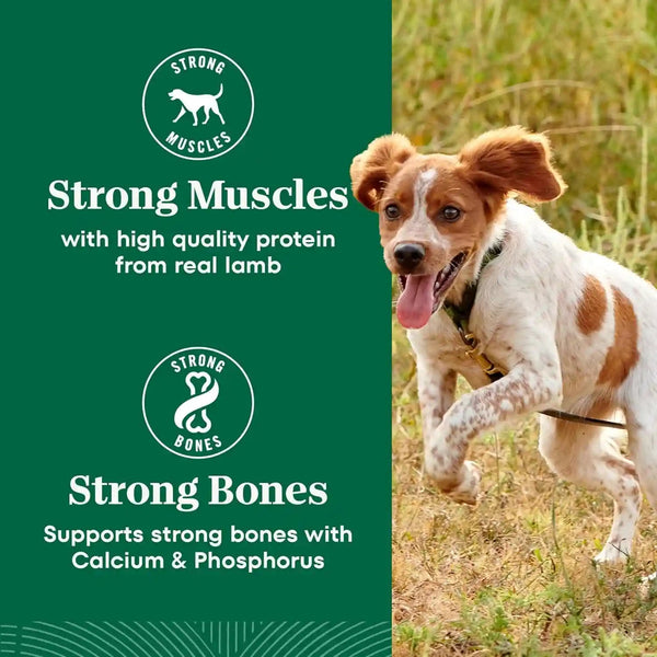 Nutro Natural Choice Small Bites Dry Dog Food, Lamb & Rice, 12 Lb | Non-Gmo, Real Lamb #1 Ingredient, No Corn, Wheat, Soy, Crafted in USA, Supports Energy, Bones, Muscles, Dental Health, Skin9