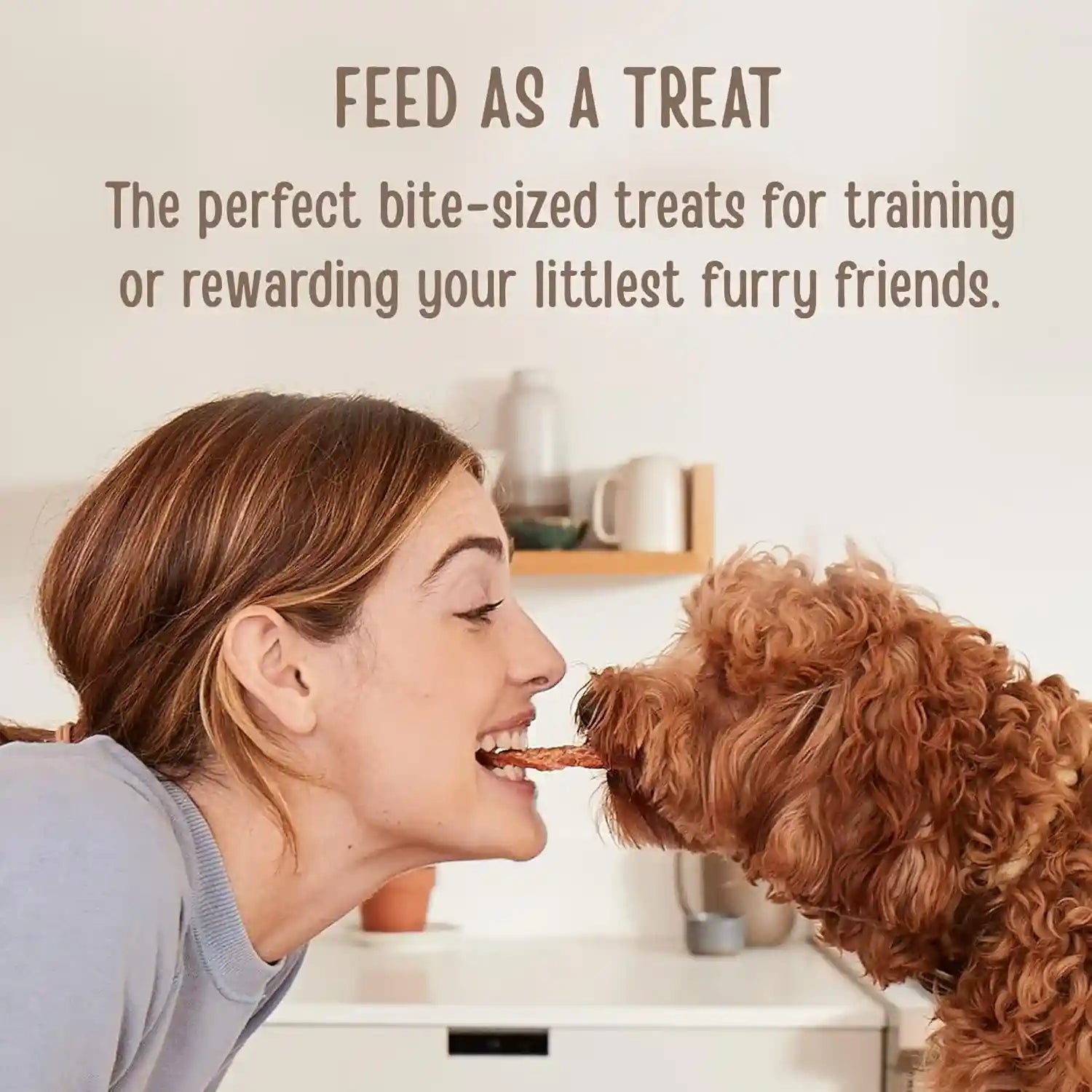full-moon®-essential-chicken-savory-bites-dog-treats-16-oz-human-grade-no-corn-no-wheat-no-soy-glycerin-free-made-in-the-usa