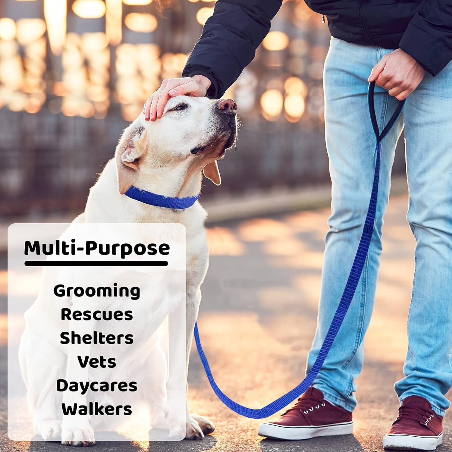 downtown-pet-supply-6ft-dog-kennel-slip-lead-leash-for-dogs-veterinarian-grooming-daycare-animal-rescue-supplies-one-size-fits-all-1-thick-24-pack