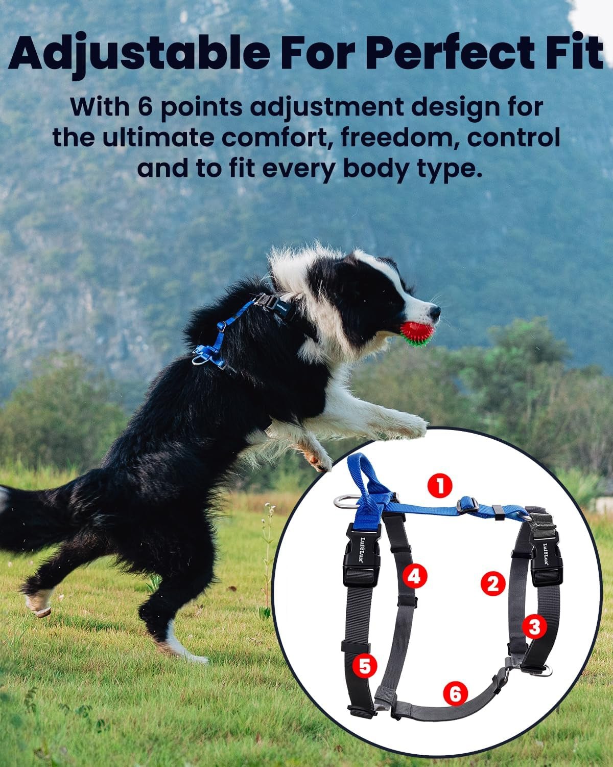 no-pull-dog-harness-small-purple-black-non-restrictive-neck-buckle-design-six-points-adjustment-lightweight-easy-walk-small-dogs-chest17-23inches