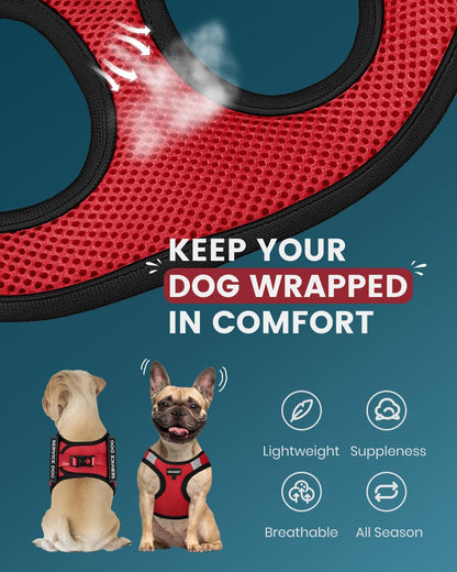 FAYOGOO Service Dog Vest for Small Dogs - Lightweight Dog Harness with 6PCS Removable Patches - Puppy Harness and Leash Set for Walking,Training3