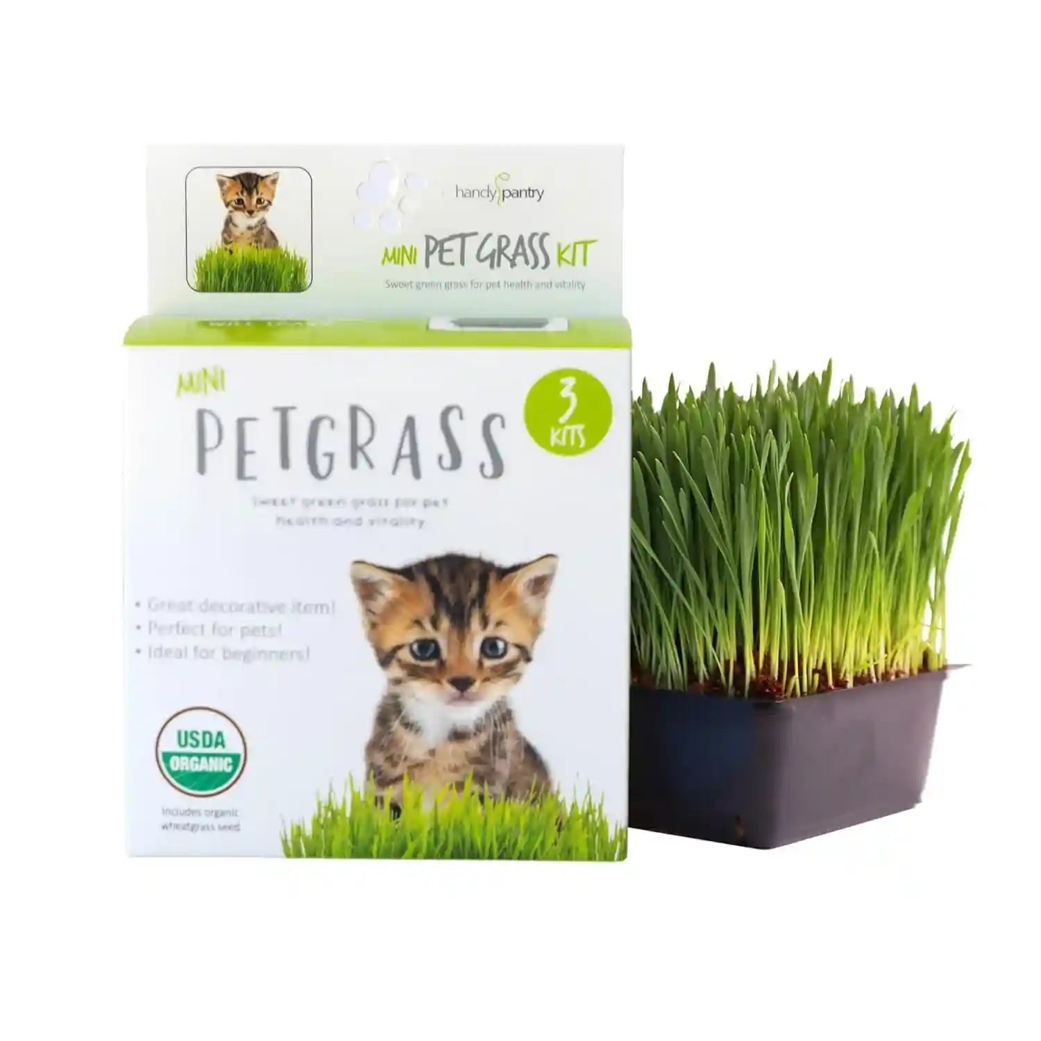 handy-pantry-organic-cat-grass-kit-includes-3-trays-soil-pucks-and-3-packs-non-gmo-wheatgrass-seed-a-healthy-treat-for-cats-dogs-rabbits-more