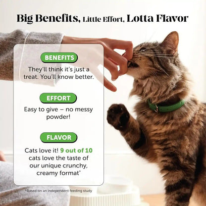 Cat Probiotics Crunchy Creamy Chews for Digestive Health - Cat Constipation + Occasional Diarrhea Relief - Daily Probiotics for Cats with Prebiotics Fiber Gut Flora Sensitive Stomach (30-Day Supply)4