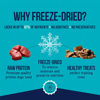 Stewart Freeze Dried Dog Treats, 100% Beef Liver, 21 Oz Tub | Premium Quality Raw Protein, Single Ingredient, High Protein Training Treats & Food Topper, No Refrigeration, Cat Friendly3