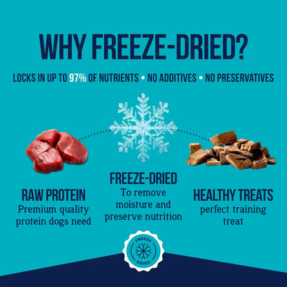 Stewart Freeze Dried Dog Treats, 100% Beef Liver, 3.5 Oz Pouch | Premium Quality Raw Protein, Single Ingredient, High Protein Training Treats & Food Topper, No Refrigeration, Cat Friendly3
