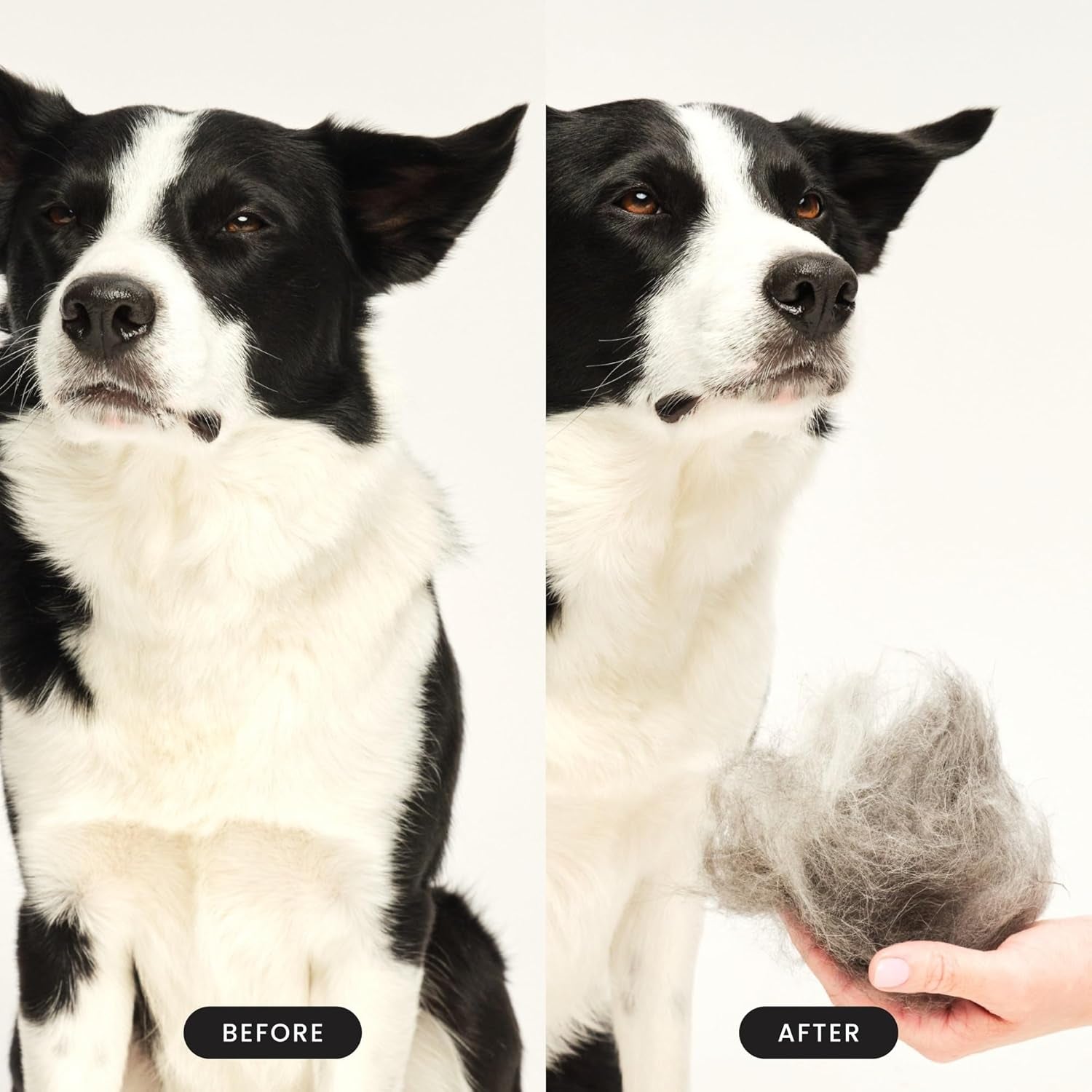 pet-teezer-de-shedding-dog-brush-for-long-hair-breeds-large-blue-pink-dog-grooming-tool-with-patented-two-tier-teeth-reaches-the-undercoat-for-thick-double-coated-dogs-wet-or-dry-fur