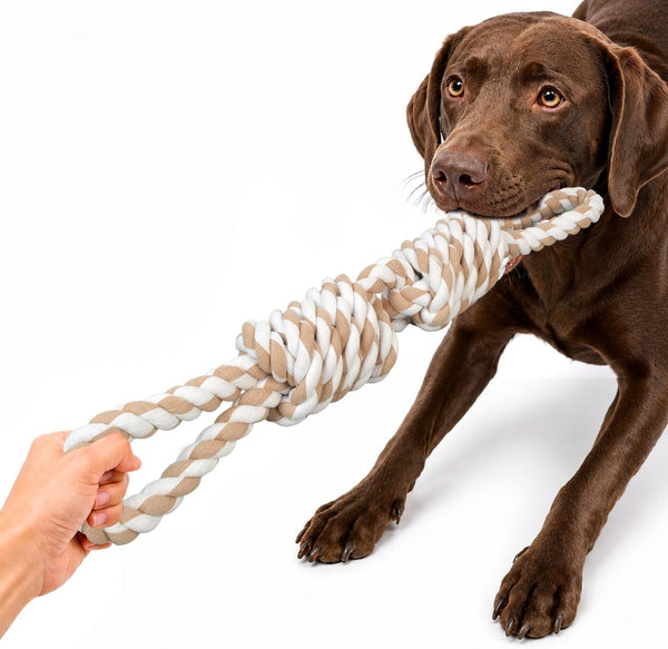 Fida Dog Rope Toys for Large/Medium Aggressive Chewers, Tough Cotton Chew Toy, 3 Feet 5 Knots Indestructible, Tug of War Dog Pull Rope Teeth Cleaning8