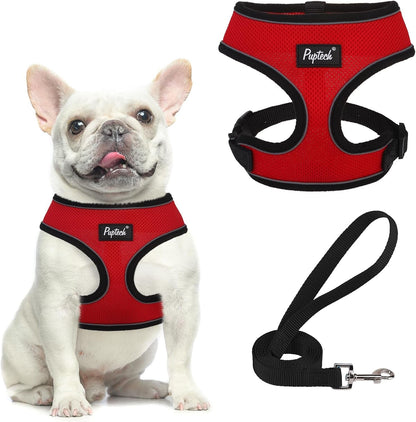 PUPTECK Soft Mesh Dog Harness Small Sized and Leash Set Pet Puppy Cat Comfort Padded Vest No Pull Harnesses, Beige, S90