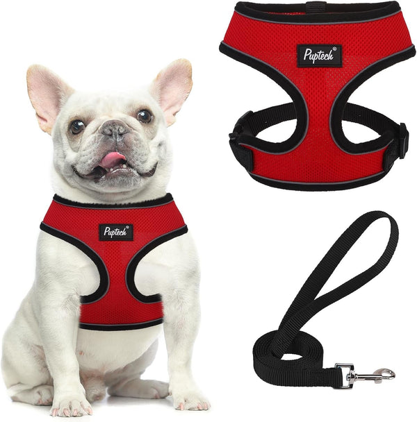 PUPTECK Soft Mesh Dog Harness Small Sized and Leash Set Pet Puppy Cat Comfort Padded Vest No Pull Harnesses, Beige, S90