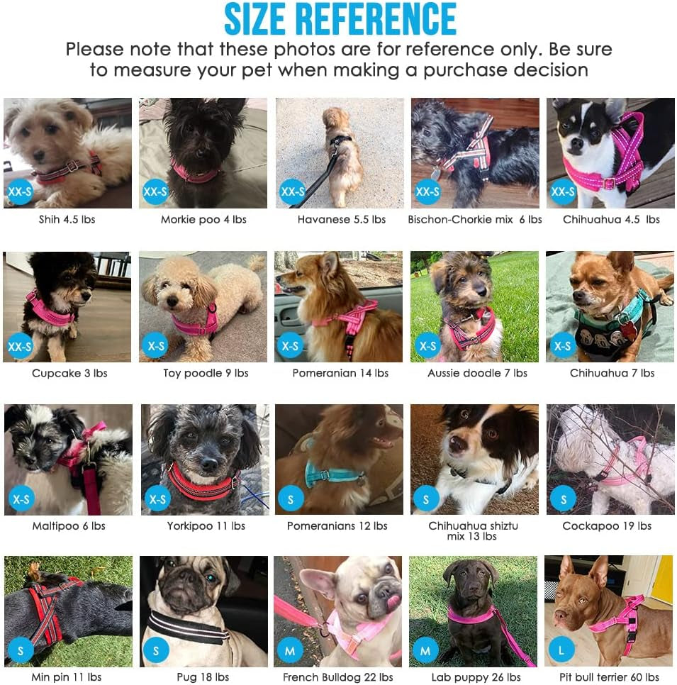 lukovee-no-pull-dog-harness-and-leash-set-soft-padded-small-dog-harness-neck-chest-adjustable-reflective-vest-puppy-harness-with-4ft-lightweight-anti-twist-dog-leash-for-small-dogs-xs-blue