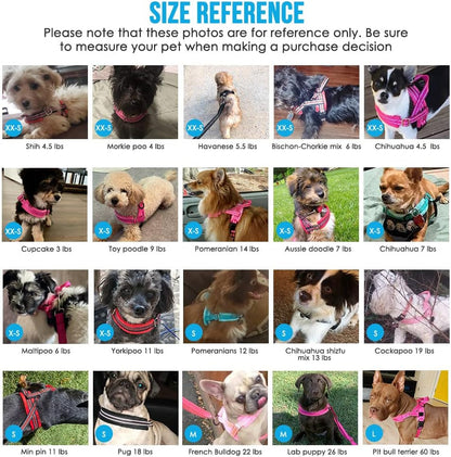 Lukovee No Pull Dog Harness and Leash Set, Soft Padded Small Dog Harness, Neck & Chest Adjustable Reflective Vest Puppy Harness with 4Ft Lightweight Anti-Twist Dog Leash for Small Dogs (XS, Blue)8