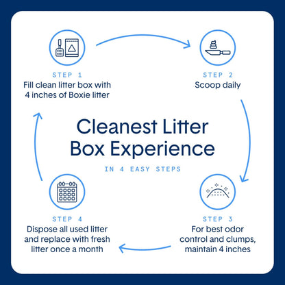 Boxie Unscented Lightweight Cat Litter 30 Day Odor Control Dust Free 6.5 Lb5