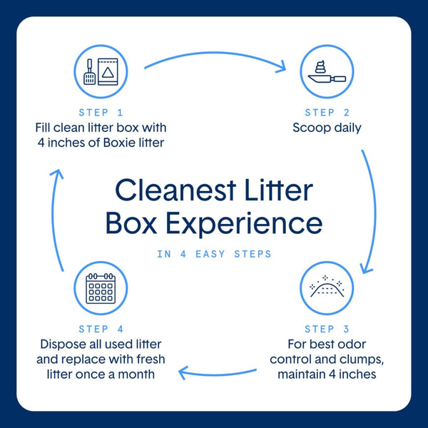 Boxie Unscented Lightweight Cat Litter 30 Day Odor Control Dust Free 6.5 Lb5