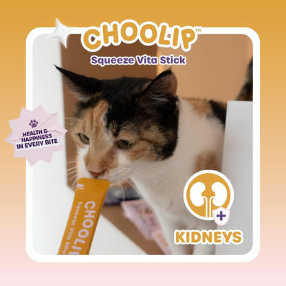 Choolip Squeeze Vita Stick Lickable Cat and Dog Treats, 7-Count Kidney Support, Tuna and Pollack with Pumpkin, Blueberry and Omega-3, Grain-Free, Vet-Formulated8