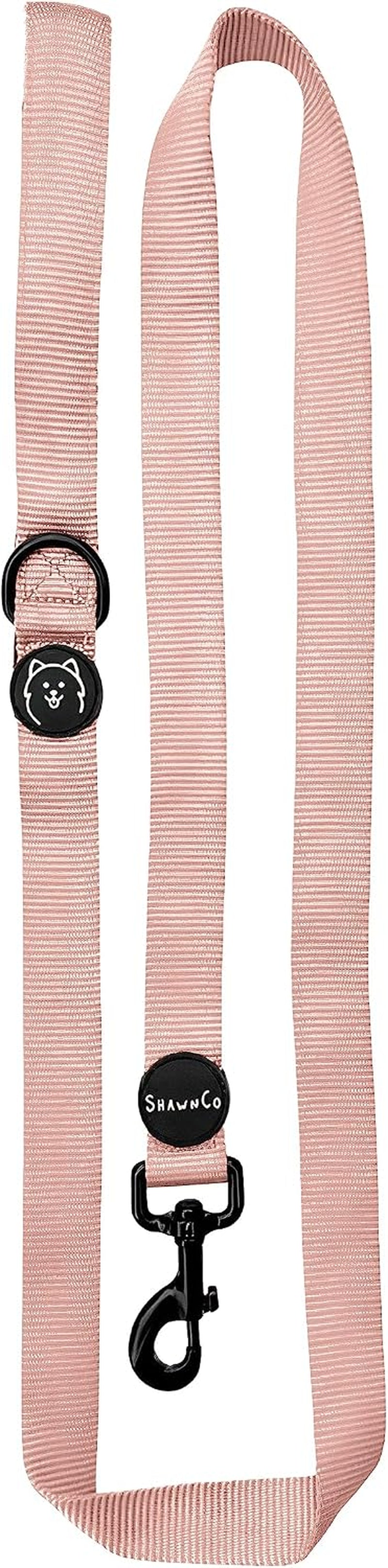 shawnco-dream-walk-dog-leash-premium-nylon-pet-leash-with-soft-neoprene-handle-for-small-medium-and-large-dogs-icy-lilac-m-l-6ft-w-2-handles