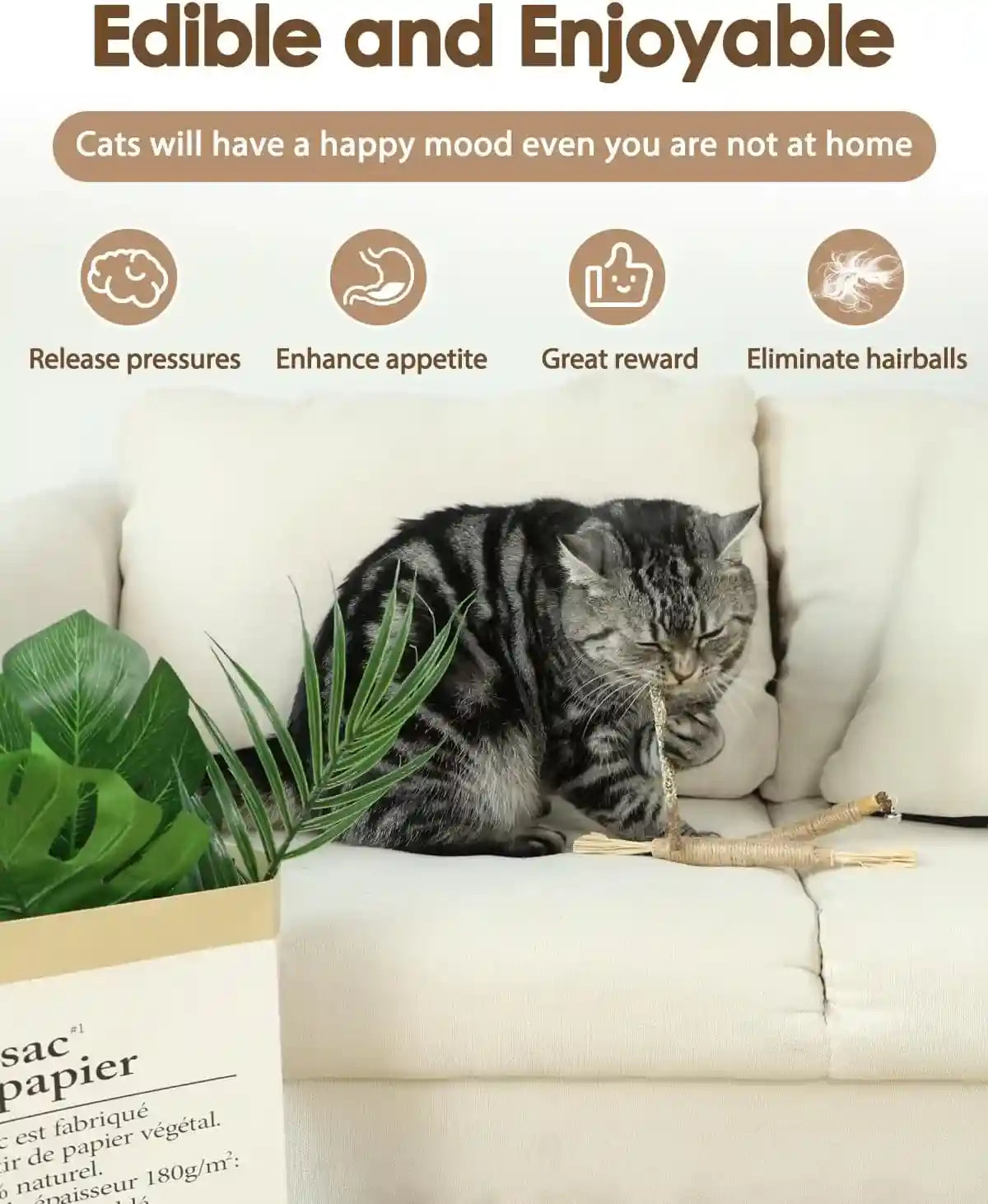 tocirelo-silvervine-sticks-cat-toys-6pack-natural-cat-chew-toy-teeth-cleaning-matatabi-dental-care-kitten-treat-catnip-cat-teething-toys-catmint-silver-vine-sticks-for-bored-indoor-kitty