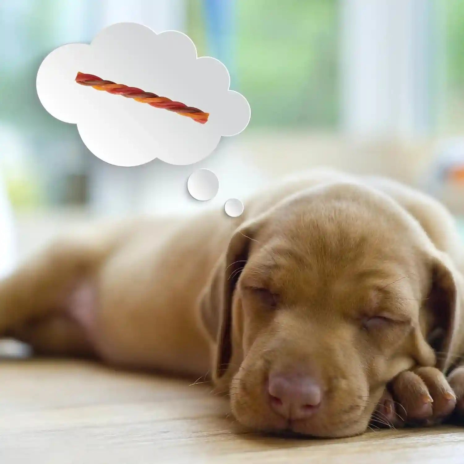 dreambone-triple-flavor-twisties-dog-treats-daily-rawhide-free-chew-digests-safely-with-real-protein-beef-pork-chicken-and-veggies-25-count