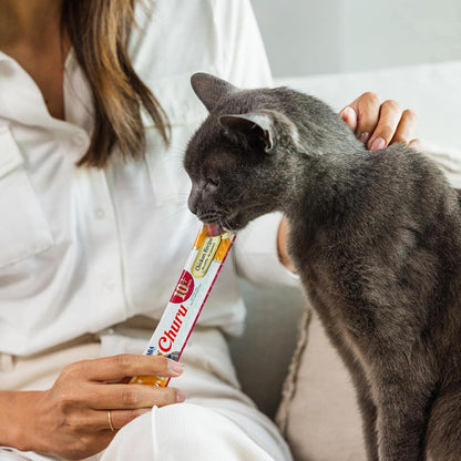 INABA Churu Senior Lickable Cat Treats, Chicken Variety, 20Ct | Senior 10+ Support, Brain Support, Immune Support, 90% Moisture, 7 Calories, Grain-Free, 20 X 0.5 Oz Tubes4