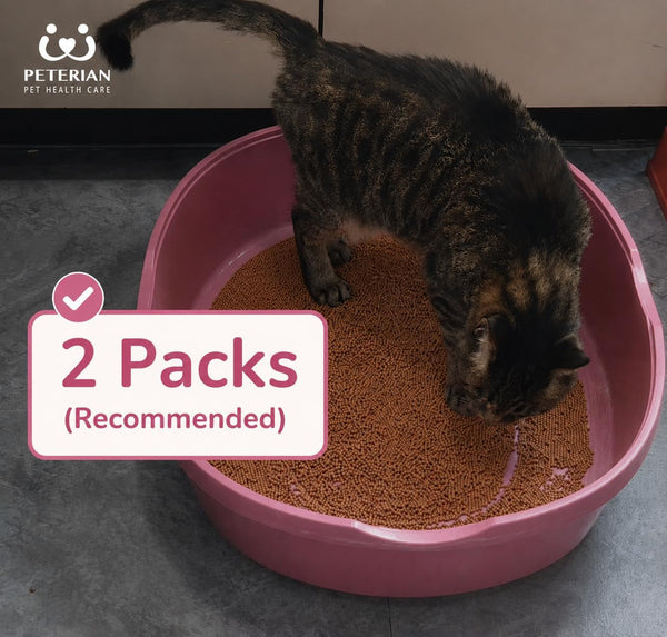 P-Catch Urine Collection Kit - Cat Health Check with Hydrophobic Litter and Urine-Inducing Pheromone - Home & Clinic Use - Vet Formulated - 14 Oz8