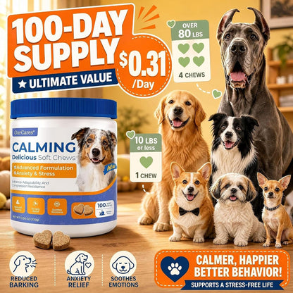 Calming Chews for Dogs Melatonin Anxiety Trial Pack 15 Ct Chicken | Non-Drowsy Soft Chews with Melatonin, Chamomile & L-Theanine. 15-Day Trial Size for Anxiety, Storms, Travel & Sleep Support.6