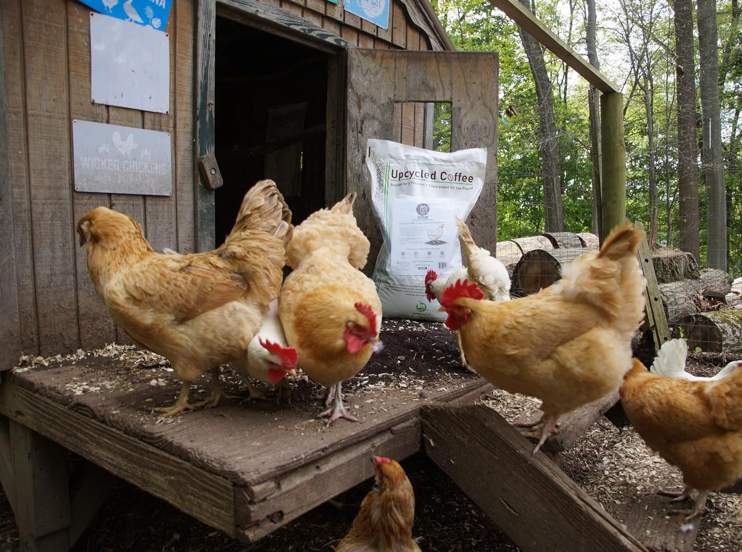javaearth®-coffee-bedding-for-chickens-loose-upcycled-coffee-grounds-poultry-litter-for-coops-brooders-natural-clumping-odor-control-20-lbs