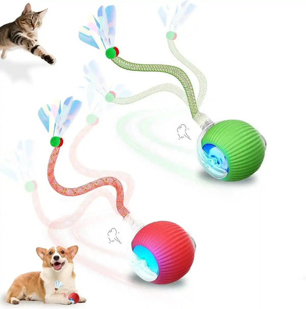 2-Pack USB Rechargeable Smart Cat Toy Ball, 360° Rotation Automatic Moving Chase Toy, Obstacle Avoidance Interactive Play with 4 Spiral Springs, Enrichment Toys for Indoor Cats, Puppies & Small Dogs11