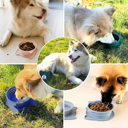 RUNROLE 2 in 1 Collapsible Dog Travel Water Bowls, Portable Pet Cat Bowl | Slot Together & Use Separately, Bpa-Free Silicone Feeding Watering Foldable Travel Bowls, Pet Travel Food Dishes, 20OZ+27OZ8