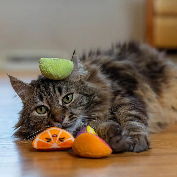 Catstages Dental Fruit Wedges 4 Pk, Soft and Textured Catnip Chew Toys That Help Clean Teeth, Multicolored6