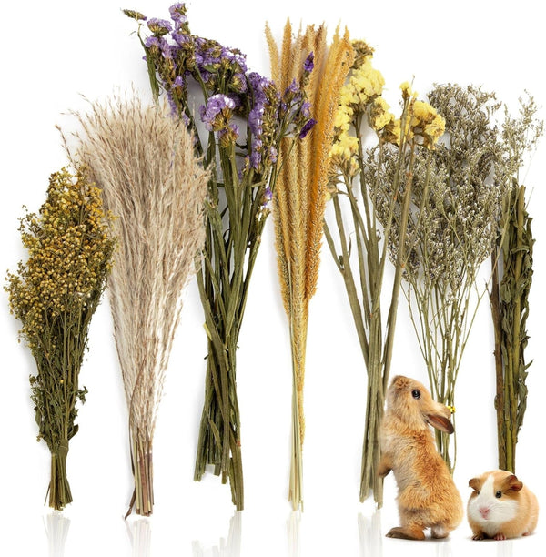 Sukh 47 Pcs Hamster Sprays - Natural Dried Flower and Herb Forage Mix | Sprays for Hamster Cage Accessories, Habitat Decor & Enrichment for Syrian Dwarf Hamsters, Gerbils, Guinea Pigs, Small Pets1