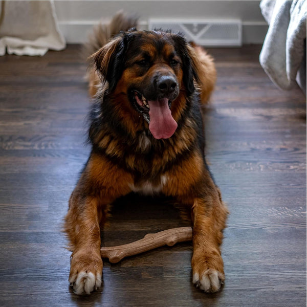 Pupstages Super Dogwood Dog Chew Toy, Made in the USA, Real-Wood Blend, Naturalwood Flavor & Texture, Moderate Chewers, Large, 11"6