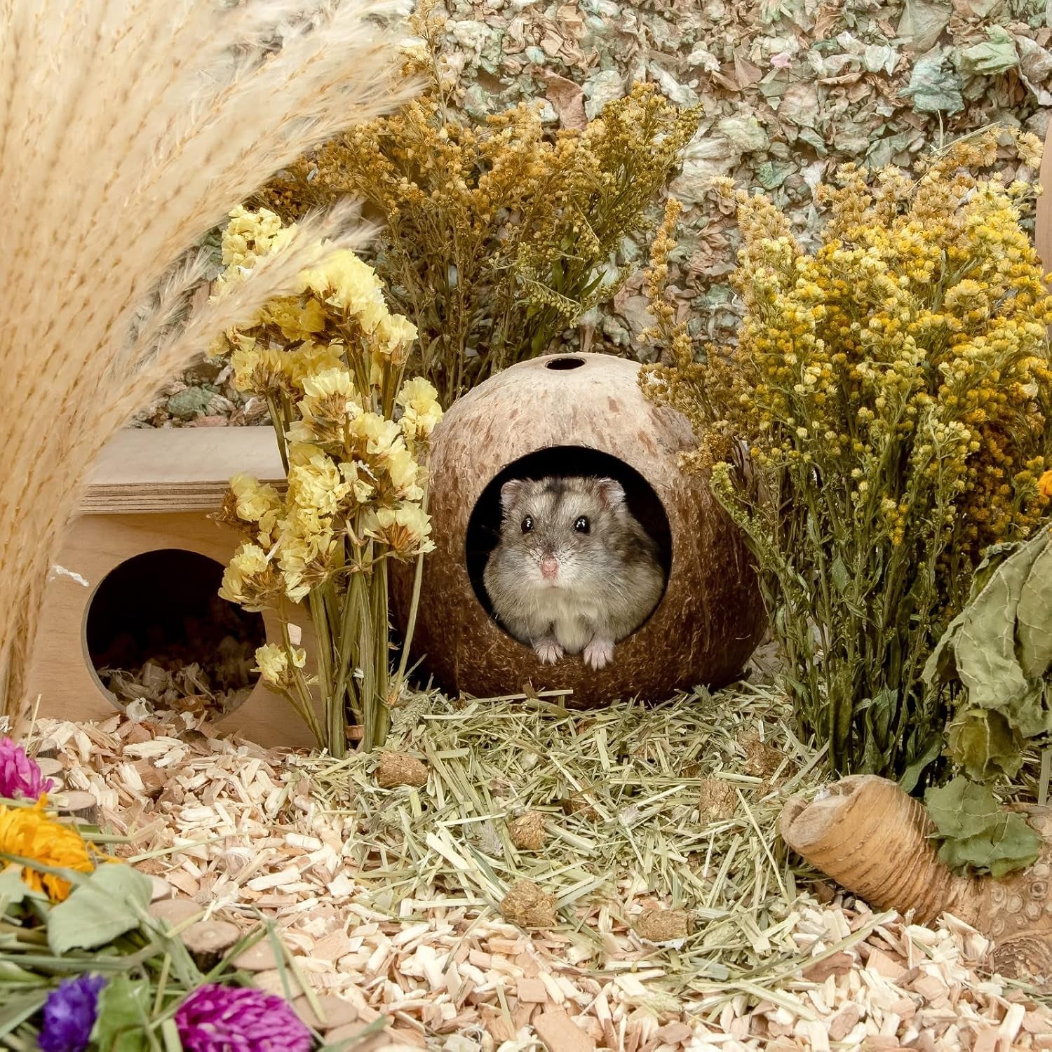 andwe-coconut-hut-hamster-house-bed-for-gerbils-mice-small-animal-cage-habitat-decor