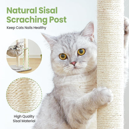 Small Cat Tree Tower with Lots of Scratching Posts - 42 Inch Medium Compact Cats Scratch House with Hammock Perch for Multi Level 2 Kitty - Indoor Corner Cat Bed Condo Climbing Gym Towers Furniture3