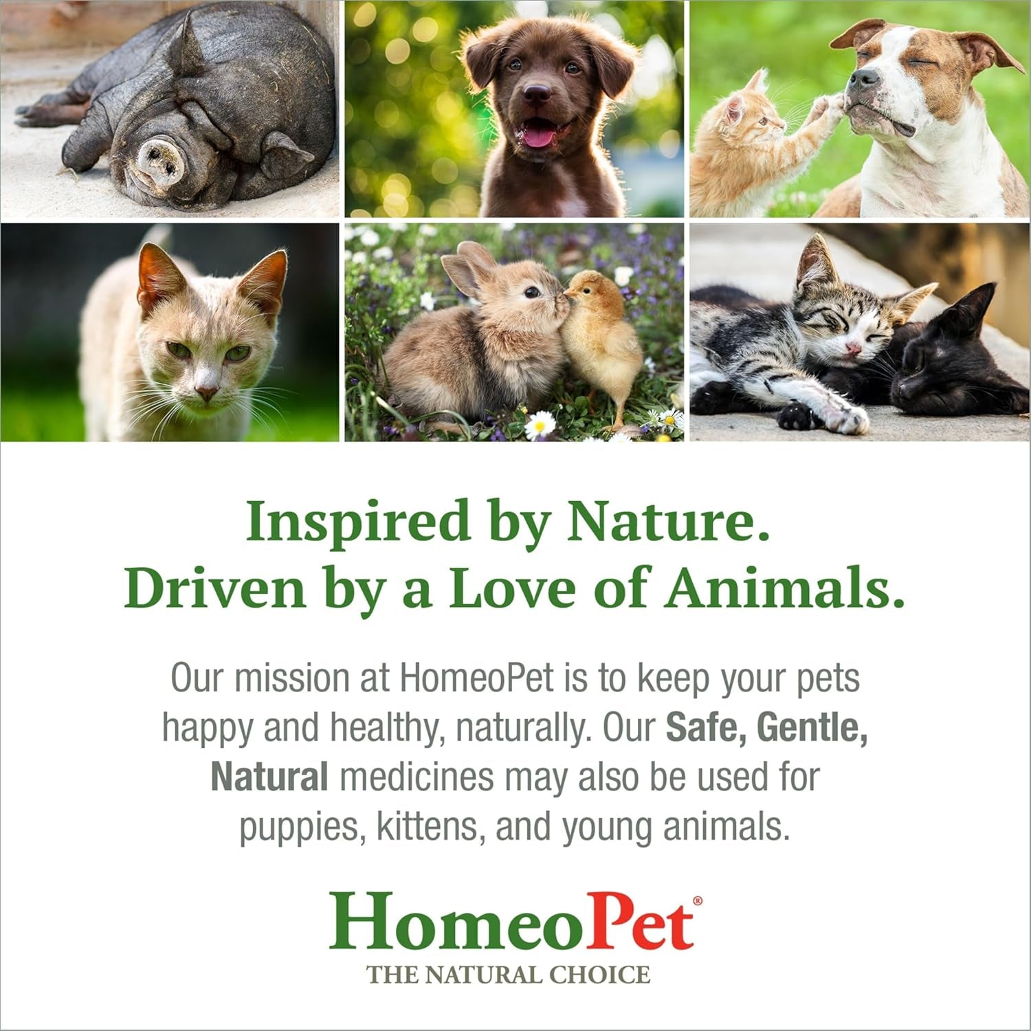 homeopet-feline-nose-relief-nasal-supplement-for-cats-15-milliliters-natural-nasal-and-sinus-support-for-cats-safe-and-gentle-homeopathic-formula-liquid-drops-suitable-for-daily-use