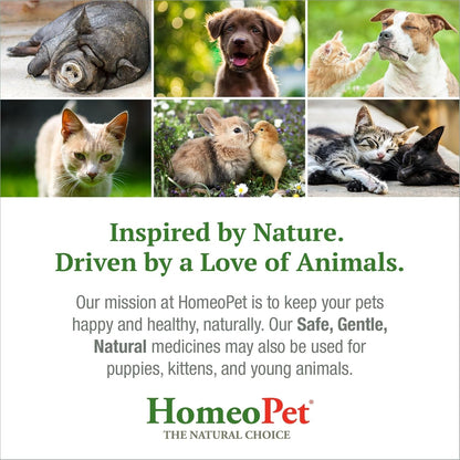 Homeopet Feline Nose Relief, Nasal Supplement for Cats, 15 Milliliters | Natural Nasal and Sinus Support for Cats, Safe and Gentle Homeopathic Formula, Liquid Drops Suitable for Daily Use6