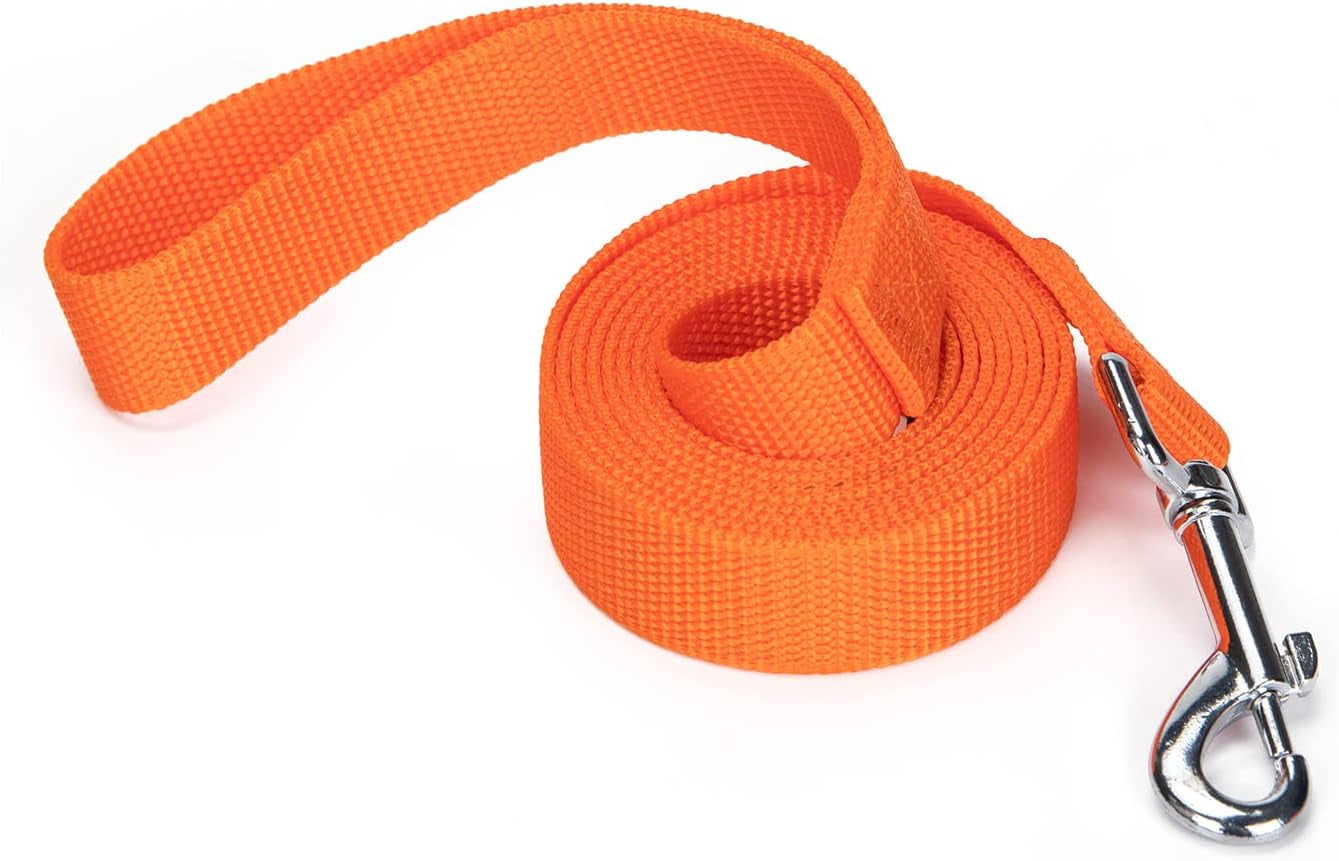 strong-durable-nylon-10ft-long-dog-training-leash-traction-rope-1-inch-wide-for-small-and-medium-dog-black-10-feet