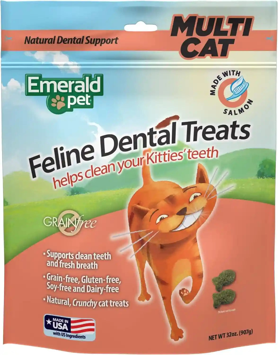 emerald-pet-grain-free-cat-dental-treats-with-salmon-crunchy-natural-dental-treats-for-cats-to-clean-teeth-freshen-breath-and-reduce-plaque-tartar-11-oz-tub